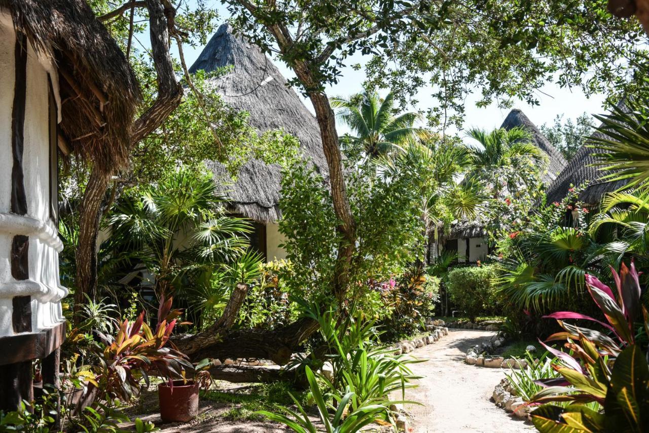 Blue Holbox Hotel ภายนอก รูปภาพ