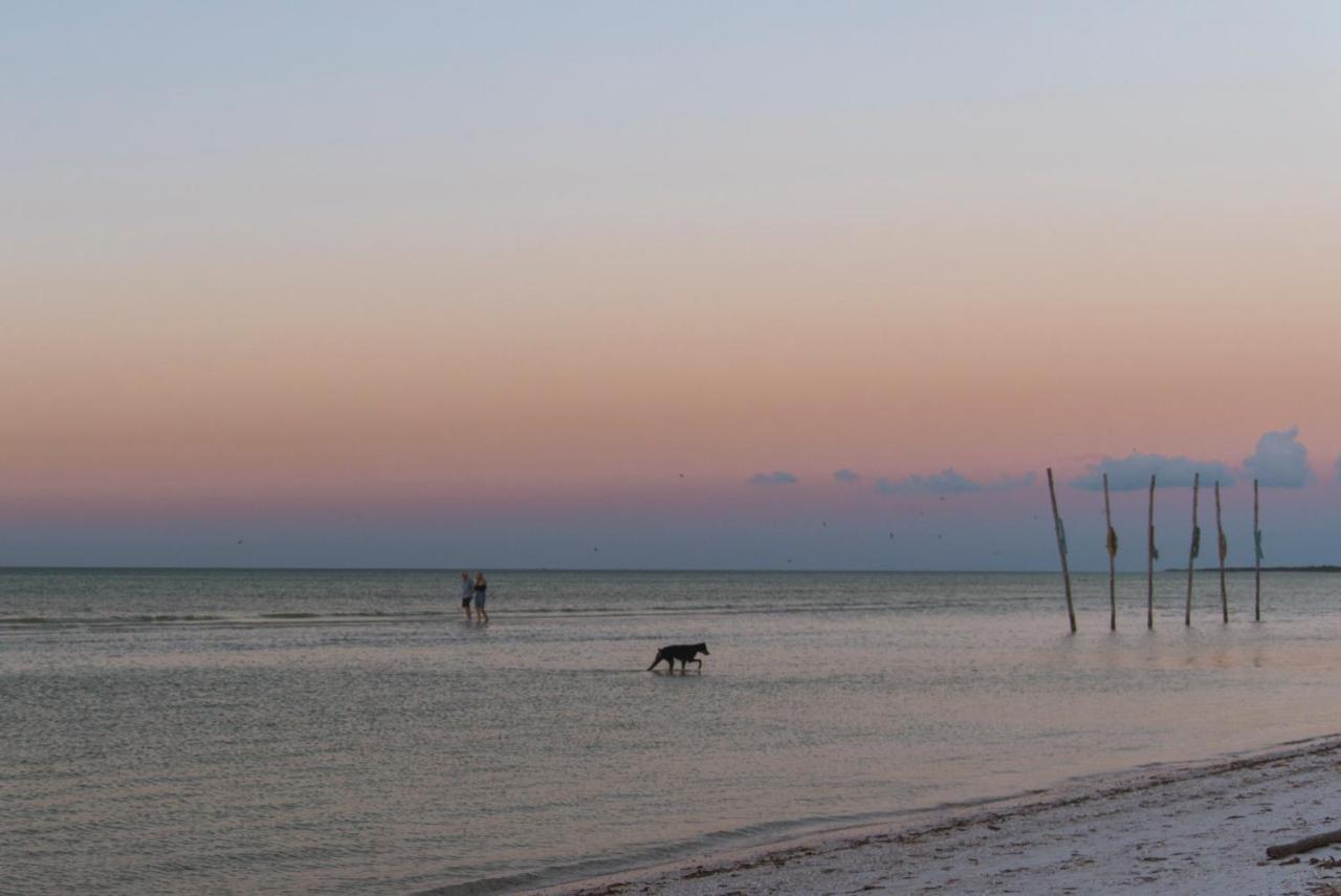 Blue Holbox Hotel ภายนอก รูปภาพ